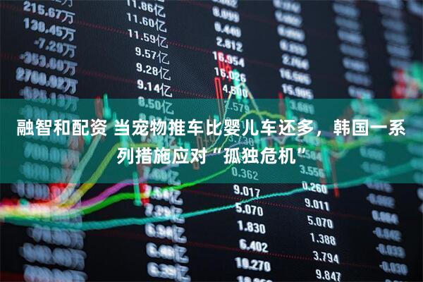 融智和配资 当宠物推车比婴儿车还多，韩国一系列措施应对“孤独危机”