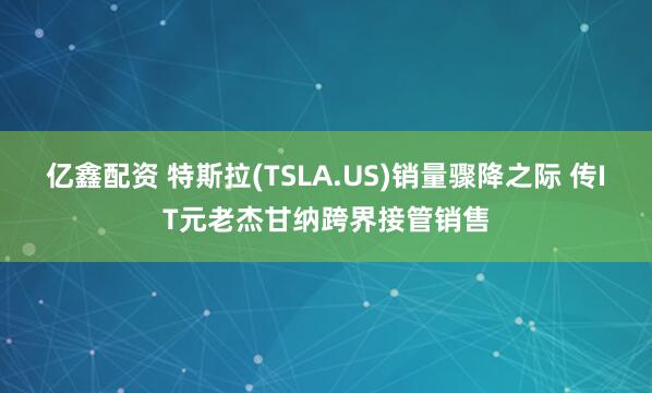 亿鑫配资 特斯拉(TSLA.US)销量骤降之际 传IT元老杰甘纳跨界接管销售