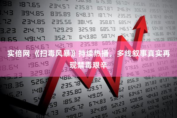 实倍网 《扫毒风暴》持续热播，多线叙事真实再现禁毒艰辛