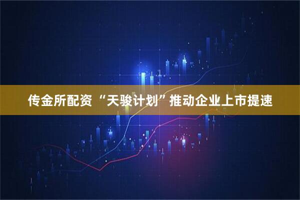 传金所配资 “天骏计划”推动企业上市提速