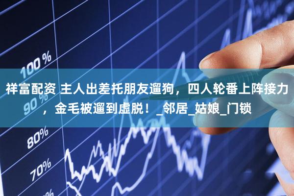 祥富配资 主人出差托朋友遛狗，四人轮番上阵接力，金毛被遛到虚脱！_邻居_姑娘_门锁