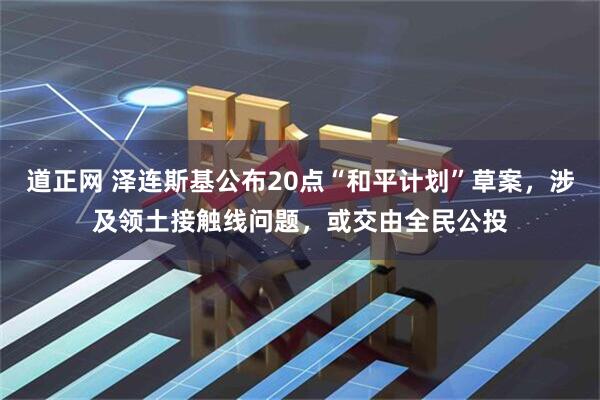 道正网 泽连斯基公布20点“和平计划”草案，涉及领土接触线问题，或交由全民公投