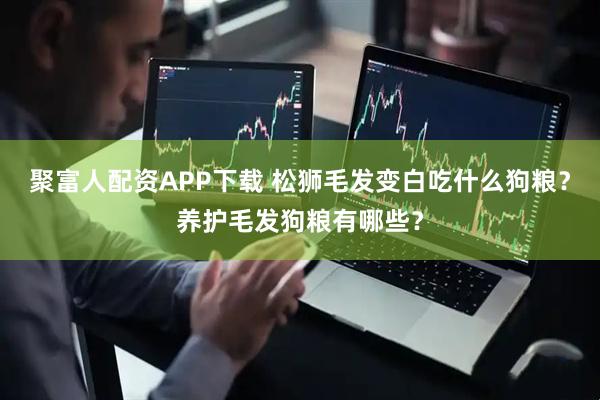 聚富人配资APP下载 松狮毛发变白吃什么狗粮？养护毛发狗粮有哪些？