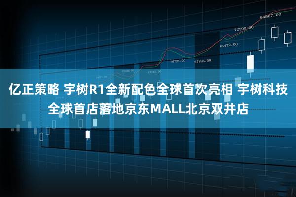 亿正策略 宇树R1全新配色全球首次亮相 宇树科技全球首店落地京东MALL北京双井店